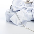 Сумка-клатч на фермуаре, цвет серебряный - фото 23595161