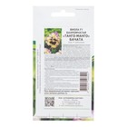 Семена цветов Виола бахромчатая "Танго-Манго Бачата F1", 10 шт - фото 23586071