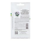 Семена цветов Эустома карликовая бело-фиолетовая "Мисс Нора Барлоу F1", 5 шт - фото 23586119