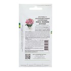 Семена цветов Эустома карликовая розовая "Мисс Майли F1", 5 шт - фото 9898297