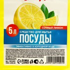 Средство для мытья посуды, 5 л, аромат лимона, РУССКАЯ ВЫГОДА 10014095 - фото 16362347