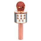 УЦЕНКА Игровой набор микрофон, наушники с ушками, МИКС - Фото 6