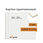 Картон грунтованный 20 х 30 см, толщина 2 мм, акриловый грунт, Calligrata, в наборе 5 шт. 10300845 - фото 12218620