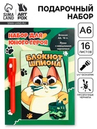 Подарочный набор: ручка с невидимыми чернилами и блокнот А6, 16 л. «Кот» - Фото 1
