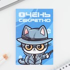 Подарочный набор, волшебная ручка и блокнот «Очень секретно» 9867575 - фото 16233265