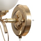 Бра 3905-158/1 40Вт E27 золото - фото 23628239