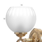 Бра 3905-158/1 40Вт E27 золото - фото 23628240