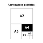 Набор папок скоросшивателей Calligrata "Дело" 300 г/м2, картон немелованный, до 200 листов, 10 штук - Фото 4