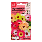 Семена цветов Доротеантус "Яркий микс" маргаритковидный, 0,1 г - фото 320974020