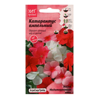 Семена цветов Катарантус "Ампельный Икспи Медитерраниан Микс", 7 шт - фото 320974032
