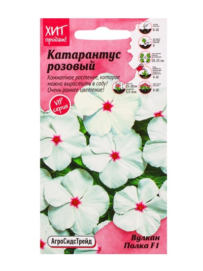 Семена цветов Катарантус розовый "Вулкан Полка F1", 5 шт
