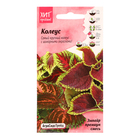 Семена цветов Колеус "Конг эмпайр премиум смесь", 10 шт - фото 320974050