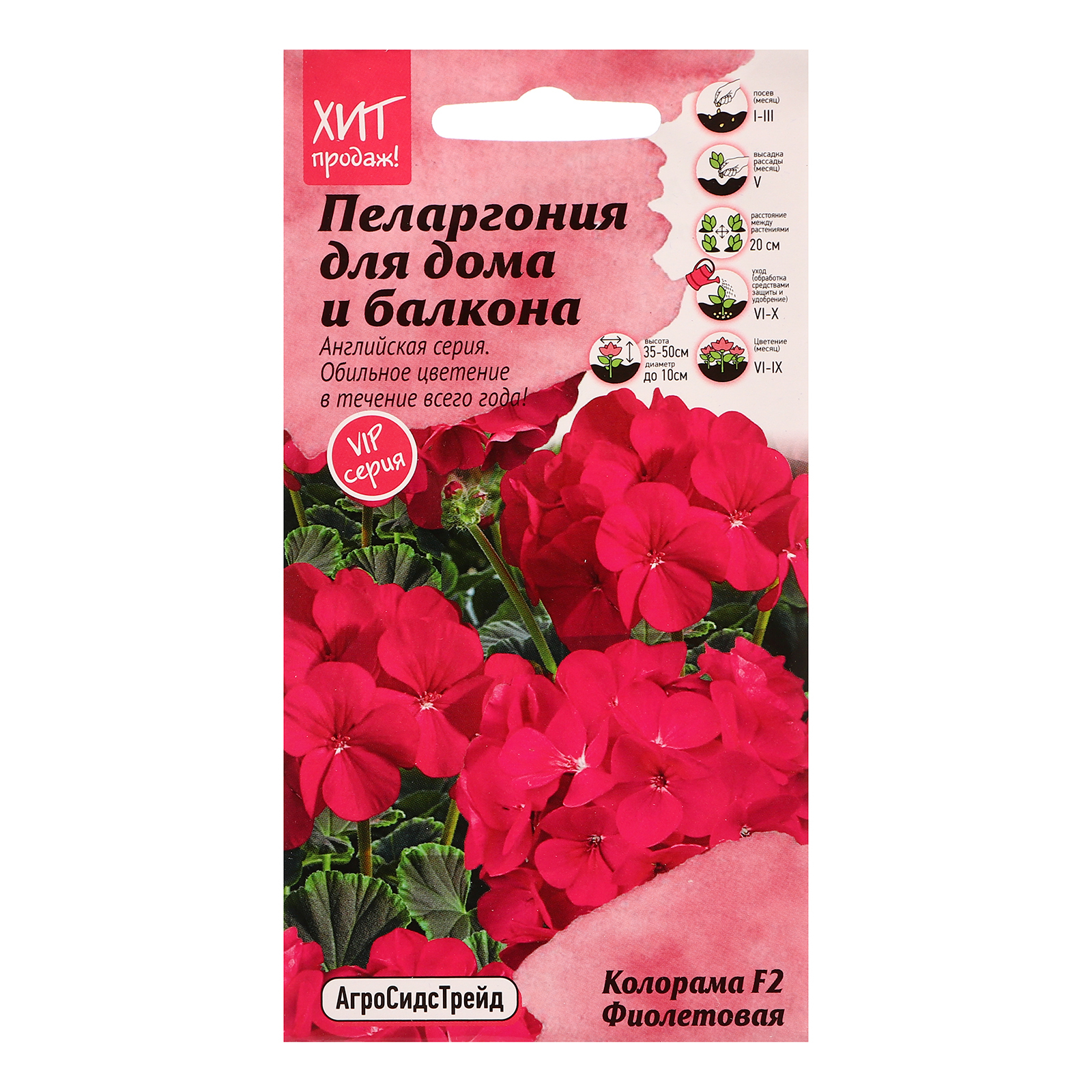 Семена цветов Пеларгония "Колорама F2 Фиолетовая" для дома и балкона, 5 ...