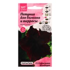Семена цветов Петуния «Софистика Блэкберри» F1, 5 шт. - Фото 5