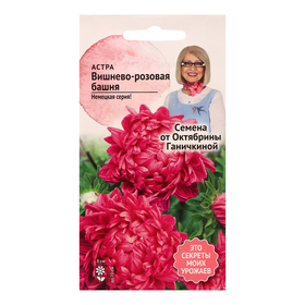 Семена цветов Астра "Вишнево-розовая башня", 0,3 г