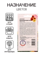 Семена цветов Гайлардия "Крупноцветковая смесь", 0,2 г (комплект 2 шт) - фото 34262530