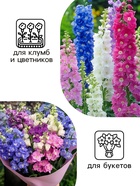 Семена цветов Дельфиниум "Королевская смесь", 0,1 г (комплект 2 шт) - фото 33979224