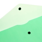 Набор папок-конвертов на кнопке 10 штук, А4, 180 мкм, Calligrata Office, полупрозрачные, микс 10099573 Набор папок-конвертов на кнопке 10 штук, А4, 180 мкм, Calligrata Office, полупрозрачные, микс 10099573