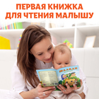 Сказка «Репка», на казахском языке, 12 стр. - фото 3925269