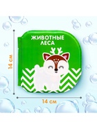 Набор книжек - игрушек для ванны Крошка Я «Мир вокруг нас», водная раскраска, 3 шт., от 4 мес. - Фото 2