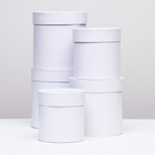 Набор круглых коробок 5в1 "Белизна перламутровая", 20 × 20 ‒15 × 15 см - фото 320993230