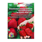 Семена Земляника «Гиганто Росса», 10 шт., ремонтантная, крупноплодная, «Уральский дачник» - Фото 1