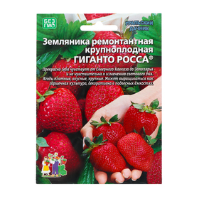 Семена Земляника "Гиганто Росса , 10 шт 10287565