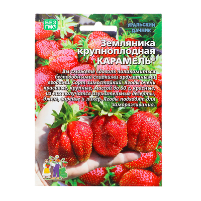 Семена Земляника "Карамель" 10 шт