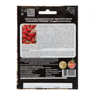 Семена Земляника ремонтантная «Санькина любовь», крупноплодная, 6 шт. - Фото 2