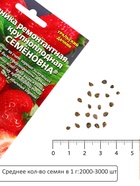 Семена Земляника «Семёновна», 10 шт., ремонтантная, крупноплодная, «Уральский дачник» - фото 809662812
