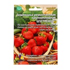 Семена Земляника «Шустрёнок», 10 шт., ремонтантная, крупноплодная, «Уральский дачник» - фото 809662821
