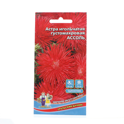 Семена Цветов  Астра игольчатая густомахровая "Ассоль" ,  0 ,3 г