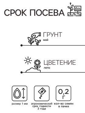 Семена Цветов Иберис зонтичный "Снежная вьюга"   , 0 ,2 г  , (комплект 2 шт)