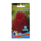 Семена Цветов Кохия "Красный барон"   ,0 ,2 г  , - фото 19807484