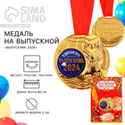 Медаль школьная на Выпускной «Выпускник 2024», на ленте, золото, металл, d = 5 см - фото 320975996