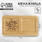 Менажница деревянная Дорого внимание «Цветы», 17 х 9,5 х 1,5 см - Фото 1