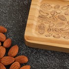 Менажница деревянная «Орехи», 17х9.5х1.5 см - Фото 2