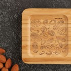 Менажница деревянная «Орехи», 17х9.5х1.5 см - Фото 3