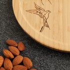 Менажница деревянная «Птицы», 20 см - Фото 2