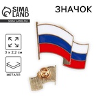 Значок «Флаг России», 3×2.2 см - Фото 1