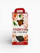 Подарочный набор «Расцветай от счастья»: чай травяной 25 г, крем-мёд с абрикосом 120 г - Фото 7