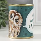 Копилка-банка "Ооооо копилка, а я думала" - фото 24703260