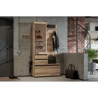 Прихожая Одри, 1001х350х2000, Дуб делано/Венге - фото 23642762