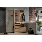 Прихожая Одри, 1001х350х2000, Дуб делано/Венге - фото 23587054