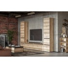 Тумба под ТВ Одри, 1013х350х501, Дуб делано/Венге - фото 23590468