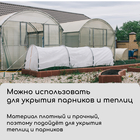 Материал укрывной, 5 × 1,6 м, ламинированный, плотность 42 г/м², спанбонд с УФ-стабилизатором, белый, Greengo - Фото 3