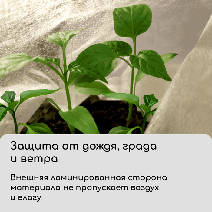 Материал укрывной, 5 × 1,6 м, ламинированный, плотность 42 г/м², спанбонд с УФ-стабилизатором, белый, Greengo