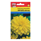 Семена цветов Георгина "Фигаро", Жёлтая, 0,05 г - Фото 1