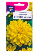 Семена цветов Георгина "Фигаро", Жёлтая, 0,05 г - Фото 1