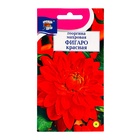 Семена цветов Георгина "Фигаро", Красная, 0,05 г - Фото 1